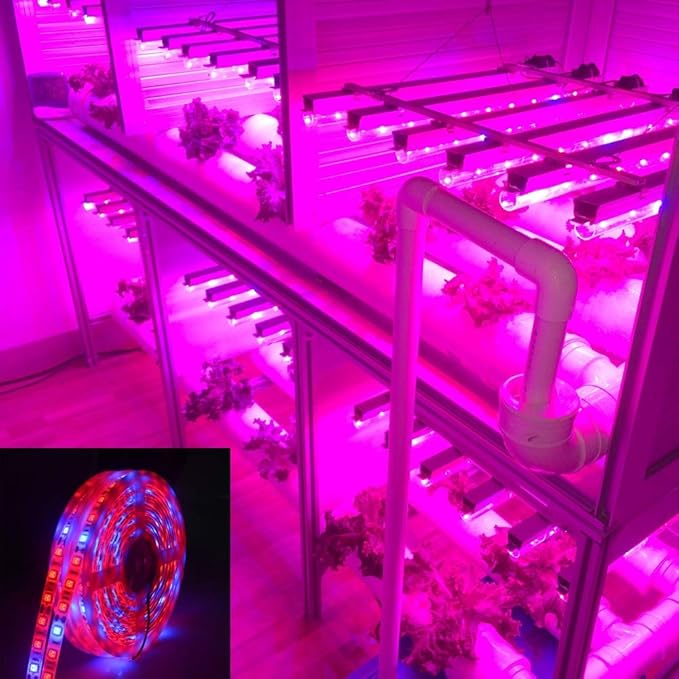 Fengyan Landscape Lights 5pcs LED Grow Light Full Spectrum Strip Phyto Lamp 5 Meters SMD 5050 LED Diode Fitolampy Ribbon for Plant Seeds Hydroponic LED Street Lamp