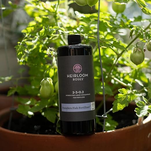 Heirloom Roses Founder’s Fish Fertilizer - Plant Food for Plants Organic Liquid Emulsion Fertilizer Garden Fertilizers for Rose Flower and Tomato Outdoor Gardening