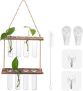 Wall Hanging Propagation Station Hydroponic Kit Plant Propagation Tubes for Home Decor