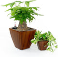 Generic 2 Pack Smart Self Watering Planter Pot for Indoor and Outdoor Dark Wood Square Cone