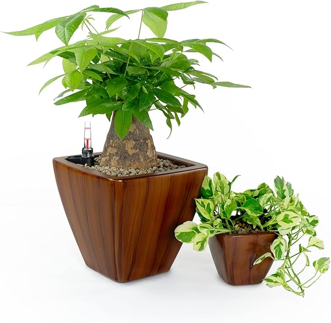 Generic 2 Pack Smart Self Watering Planter Pot for Indoor and Outdoor Dark Wood Square Cone