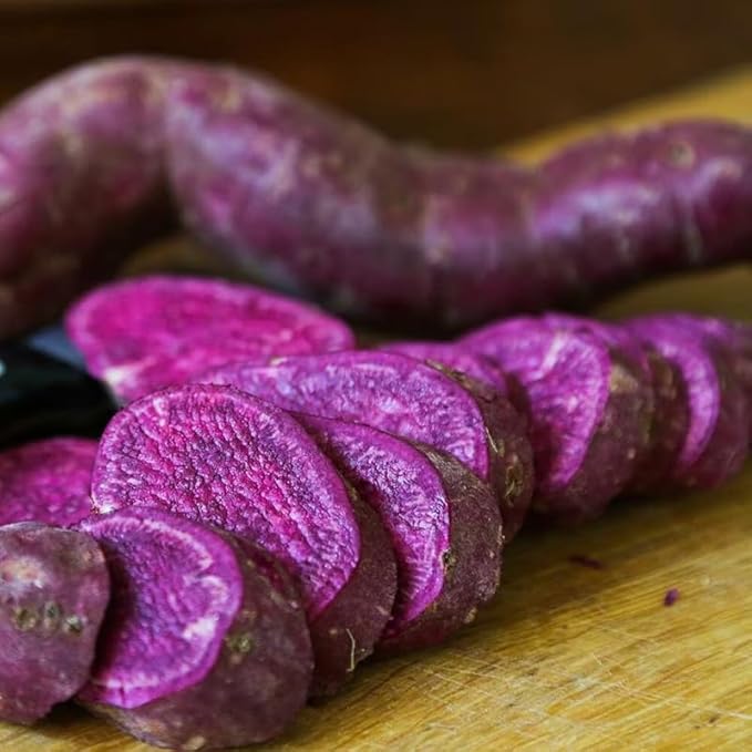 3 Potted Purple Sweet Potato Vine Live Plants for Planting Outdoors Well Rooted High Yield Purple Sweet Potato