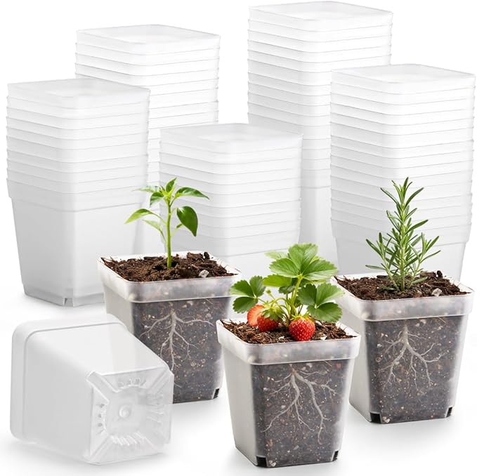 120 Packs Square Clear Nursery Pots with Drainage 2.7 Inch Plastic Seedling Pots for Indoor Plants Thickened Small Transplant Pot for Seed Starting Succulents Vegetables Lettuce Flowers
