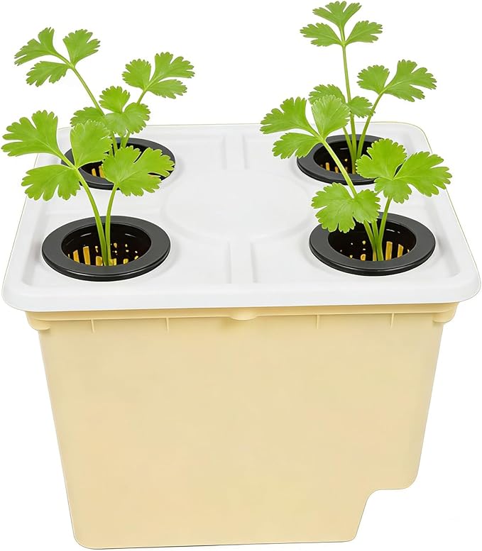 Hydroponic PlanterSiphonic Drainage Greenhouse ContainerHydroponic Growing System for Vegetables | for Indoor Outdoor Windowsill Balcony Greenhouse Tomato Cucumber Fruit