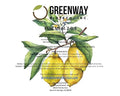 Greenway Biotech Inc. Kelp Meal Fertilizer 2-0-4 Includes 2% Nitrogen and 4% Potassium- Non- GMO Organic Lawn Plant Vegetables Fertilizers for Root Development and Boosts Growth - 5 Pounds