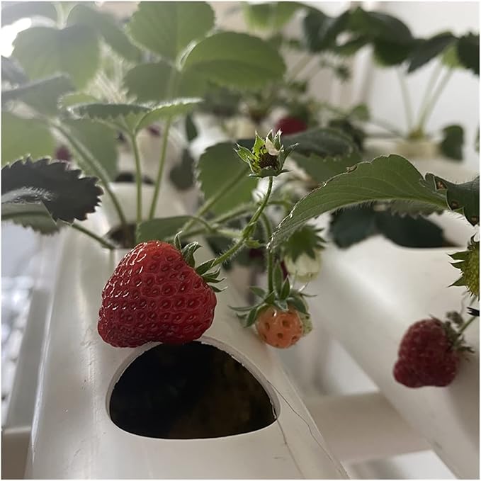 Hydroponic Tower Growing Sytem Hydroponics Growing System Garden Kit Farm Equipment PVC Pipe Vertical Hydroponics Grow System Family Greenhouse Planter(Bianco 72 Vertical)