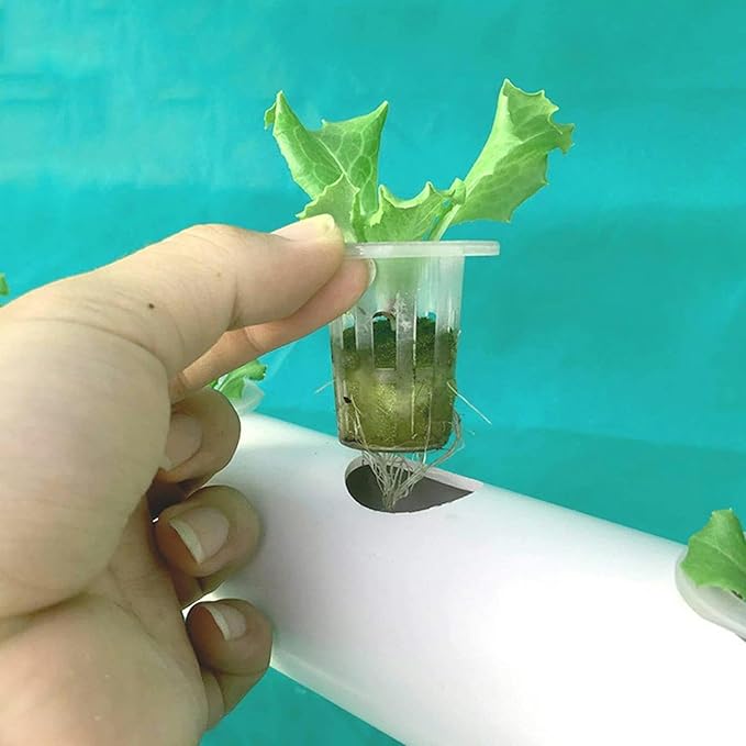 Hydroponic Site Grow Kit Hydroponic Growing System Water Culture Garden Plant System for Leafy Vegetables /1PC