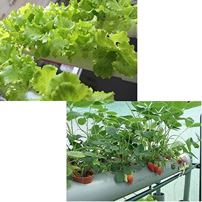 54 Holes Hydroponic Piping Grow Kit Planting Tools Gardening System Nursery Pot Hydroponic Soilless Plant Growing Systems Vegetable Planting Grow Kit Rack 100-240V