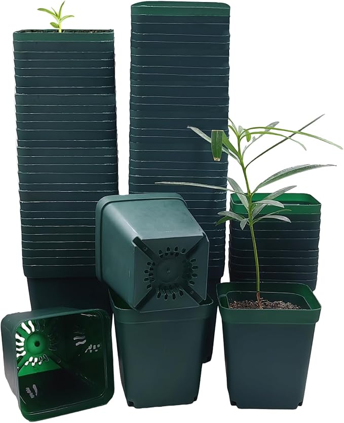 Square Nursery Seedling Pot 3.5 Inches 90 Pcs Small Nursery Pot Plastic Thick and Sturdy Seed Start Germination Pot for Plant Propagation and Seeding(Green3.54 Inches 90Pcs)