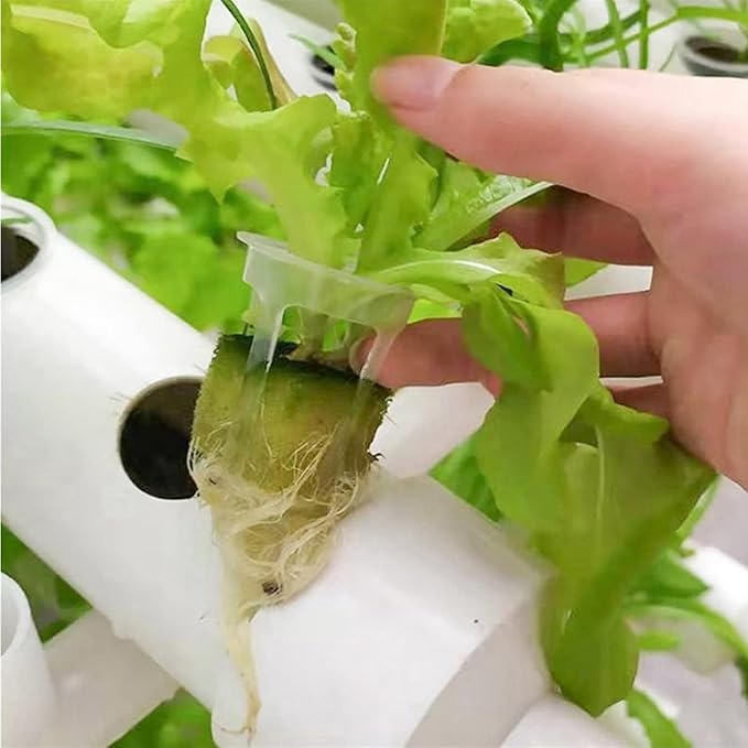 Hydroponic Site Grow Kit 2 Layers 72 Locations and Deep Streams Aquatic Grow Gardens with Pump DIY Clone Kit for Hydroponics System110V