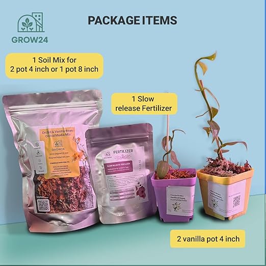 GROW24 Vanilla Orchid Starter Plant kit 4-inch Pots Plus Media Mix and Slow Release Fertilizer (2)