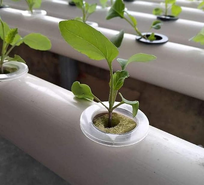 2 Layers 36 Plant Sites Hydroponic Growing System 4 Pipes Water Culture Garden Plant System Hydroponic Site Grow Kit for Leafy Vegetables Lettuce Herb Celery