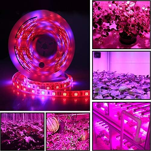 Fengyan Landscape Lights 5pcs LED Grow Light Full Spectrum Strip Phyto Lamp 5 Meters SMD 5050 LED Diode Fitolampy Ribbon for Plant Seeds Hydroponic LED Street Lamp