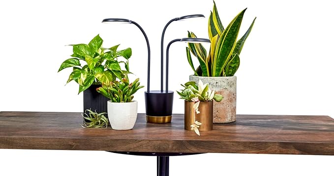 AeroGarden Trio Grow Light for Indoor Plants Grow Live Plants Anywhere in The Home Adjustable Light Modes Black