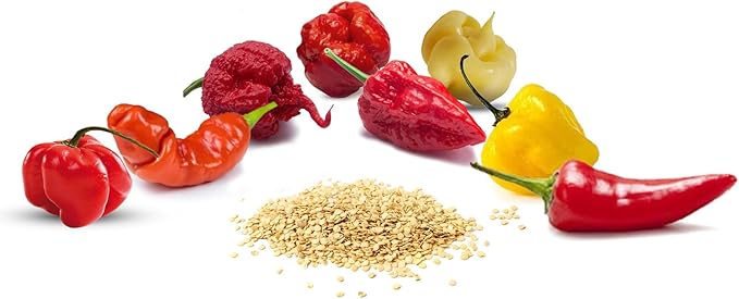 Ultimate Super‑Hot Combo Pack – Carolina Reaper Red &amp White Ghost Pepper Moruga Scorpion Red Scotch Bonnet Peter Pepper Fresno Burkina Yellow – 125 Non‑GMO Seeds – Intense Heat Kit