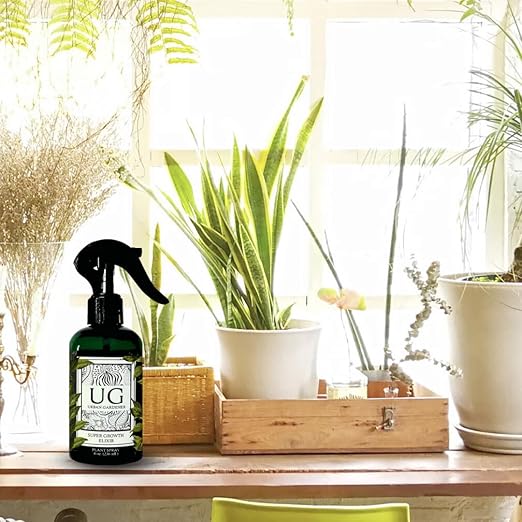 Organic Leaf Wellness Spray for Plants - Protect &amp Nourish Your Plants w/Chitosan Yucca Extract Liquid Kelp and Essential Oils - 8 oz House Plant Spray Bottle