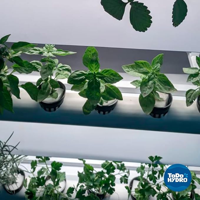 Grower Cloner DWC 8 Plant Hydroponic Starter &amp Cloning Kit with Aeration System