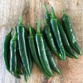 40 Beauty Hybrid Sweet Pepper Seeds - Korean Cucumber Pepper
