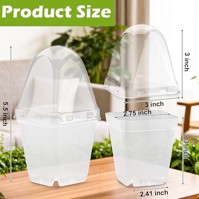 2.7 Inch Square Nursery Pots with Humidity Dome 60 Packs Clear Seedling Pots with Drainage Holes Reusable Propagation Pots Small Plant Container for Indoor Outdoor Gardening