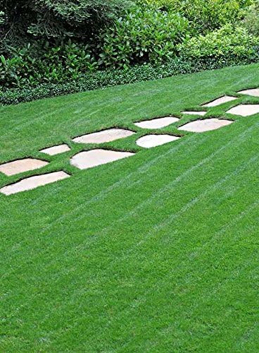 Liquid Fertilizer 16-8-4 - (4 Gallon Case)