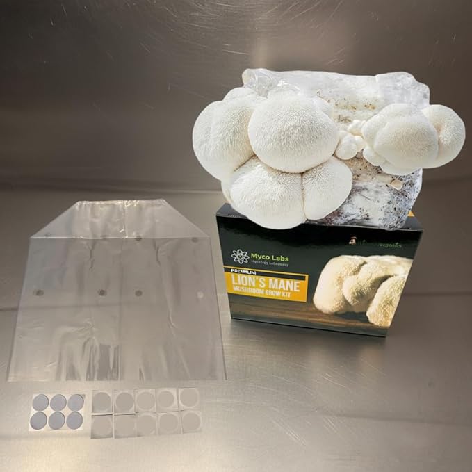 Lion's Mane Mushroom Grow Kit | Large 5.5 LB Fruiting Block | with Custom Humidity Tent &amp Filters | Grow Anywhere