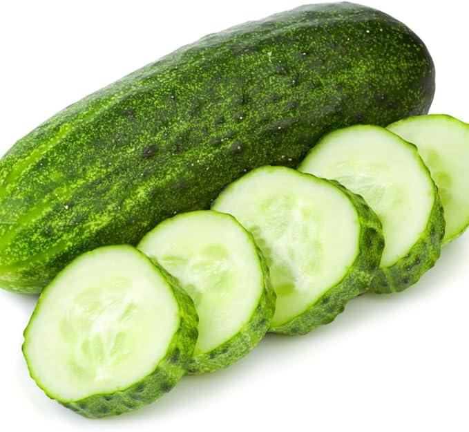 4 Green Cucumber Plants Live 4 Inches Pot Live Cucumber Plants from 6 to 8 Inches Long Cucumber Starter Plants Cucumber Live Plants for Garden