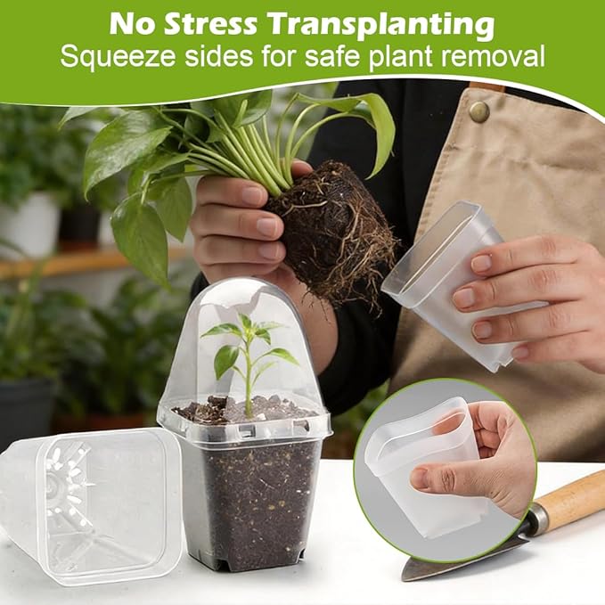 2.7 Inch Square Nursery Pots with Humidity Dome 60 Packs Clear Seedling Pots with Drainage Holes Reusable Propagation Pots Small Plant Container for Indoor Outdoor Gardening