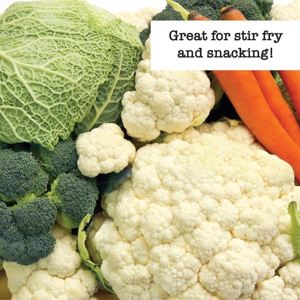 Ferry Morse Vegetable Seed Kit - Cold Hardy High Germination GMO Free - 10 Pack