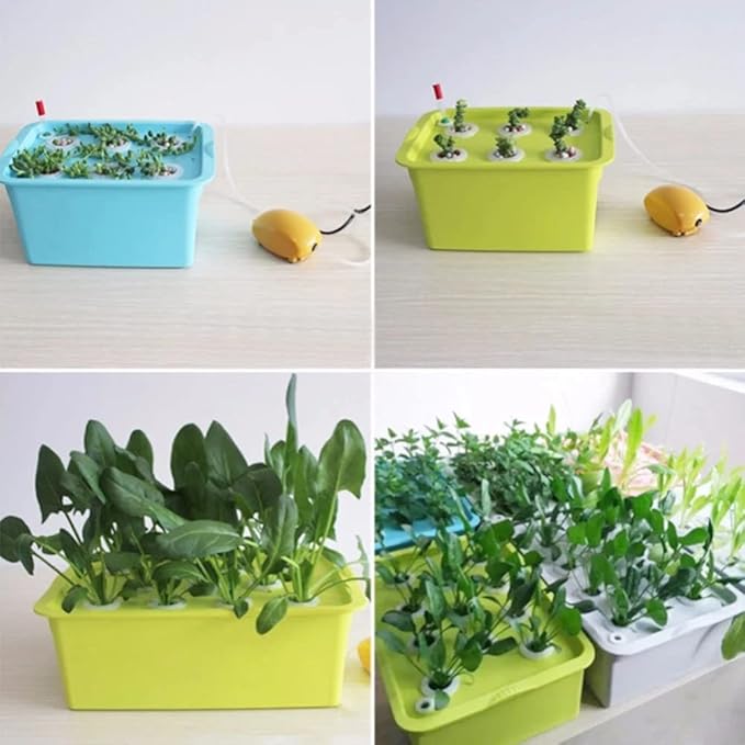 Indoor Hydroponic Grow Kit Sponges Best Indoor Herb Garden Grow Fast at Home6 Holes Plant Site Hydroponic Garden Pots Planters SystemA