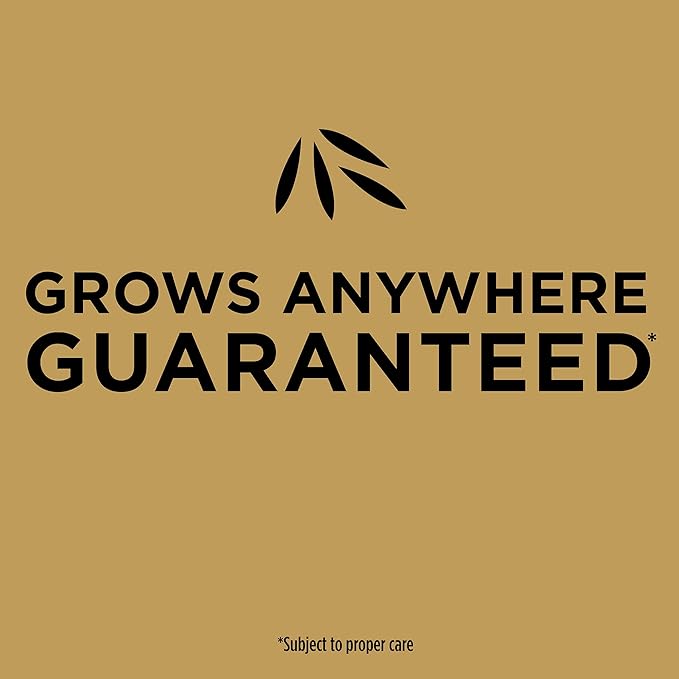 Scotts EZ Seed Patch and Repair for Sun and Shade Combination Mulch Sun and Shade Grass Seed and Fertilizer for Bare Spots and Repair Grows Anywhere 40 lbs.