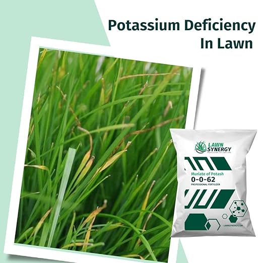 0-0-62 Muriate of Potash Plant &amp Lawn Fertilizer - Strengthens Cell Walls - 15lbs. - Covers 9000 sqft