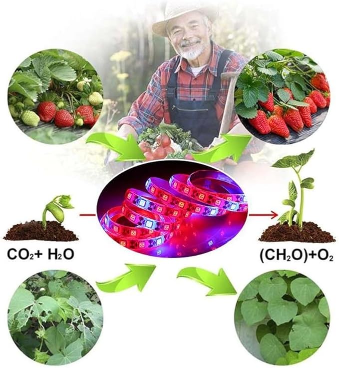 Fengyan Landscape Lights 5m LED Strip Plant Grow Lights Waterproof Full Spectrum Flower Phyto Lamp Red Blue 5:1 for Greenhouse Hydroponic LED Street Lamp (Emitting Color : 5M 300LED)