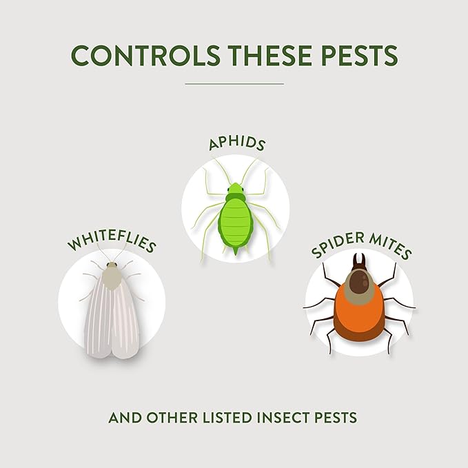 Garden Safe Brand Fungicide3 1 Gallon Fungicide Insecticide and Miticide with Neem Oil Extract for Organic Gardening Controls Black Spot Rust Aphids and Spider Mites