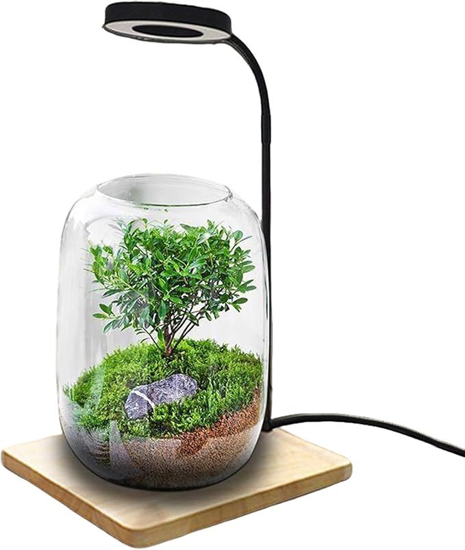 Aquarium Lighting Fixture Full Spectrum LED Lighting 10W LED Grow Light USB Powered Grow Lamp USB Powered and Energy Efficient for Home Offices Study Or Desk Use