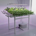 Hydroponic Grow KitPump TimerFood-Grade PVC-U Pipes Hydroponics Planting System with Water Pump Nest Basket and Sponge for Leafy Vegetables