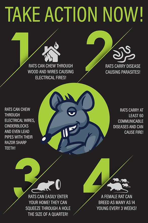 Rat Trap Six Pack - Indoor and Outdoor Traps for Mice Voles Rats Chipmunks - Easy to Set Powerful Snap Quick Kill - by Guarden