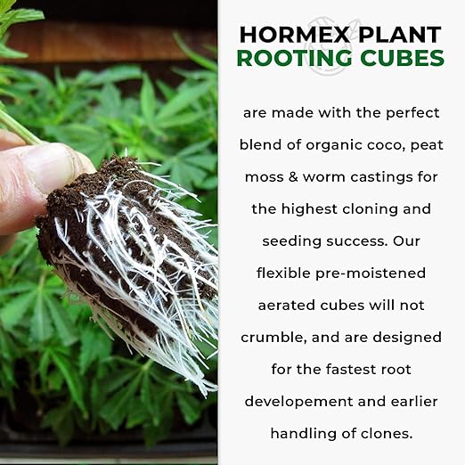 Hormex Rooting Powder #1 &amp Rooting Cubes Combo - Rooting Hormone for Softwood Cuttings &amp Organic Peat Moss Coco Plugs - Fast Healthy Root Growth for Propagation Hydroponics &amp Seed Start