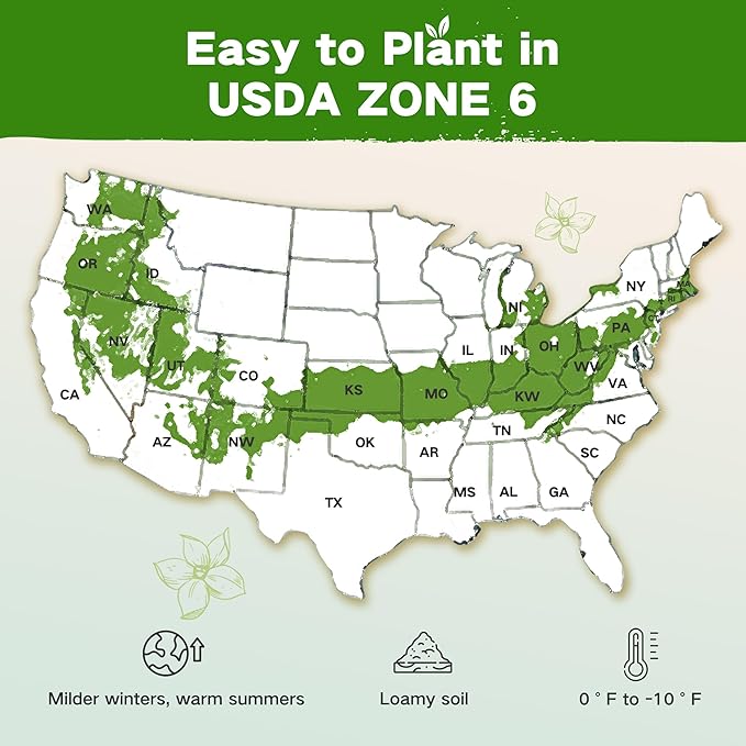 Lush&ampDew Year-Round USDA Zone 6 Heirloom Survival Seed Kit 32 Varieties 30000+ Non-GMO Seeds for Planting Vegetables Herbs Gardening Gifts for Women Men Raised Beds Indoor Outdoor Home Garden