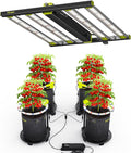 320W LED Grow Lights Kit Commercial Full Spectrum Bar Style LED Grow Lamp with 96W Under-Canopy Grow Light 3x3ft Coverage Growing Lamp for Hydroponics Greenhouse