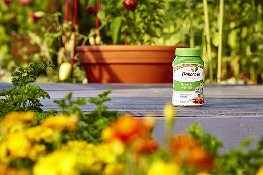 Osmocote Smart-Release Plant Food Flower &amp Vegetable 14-14-14 1 Lbs. - Pack of (6)