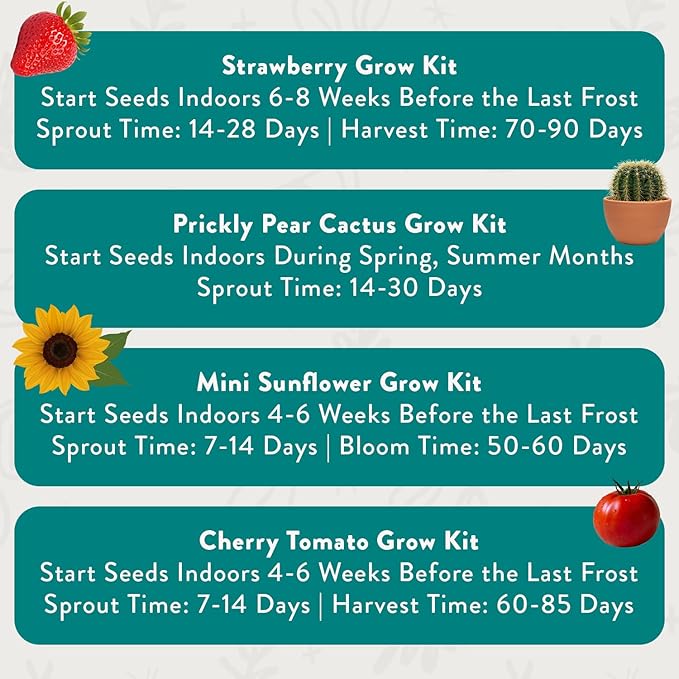 Modern Sprout Complimentary Color Grow Kits (Pack of 4) - Seed Starter Kit - Includes Organic Strawberry Tomato Sunflower &amp Cactus Seeds - Easter Basket Essentials - Gardening Gifts that Grows w/L