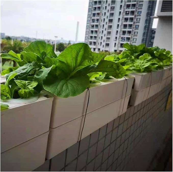 Indoor Vertical Garden Modular Soilless Cultivation Family Balcony Greenhouse Hydroponic Planting Facility Hydroponic Planting Machine (Color : 1 Size : 8)