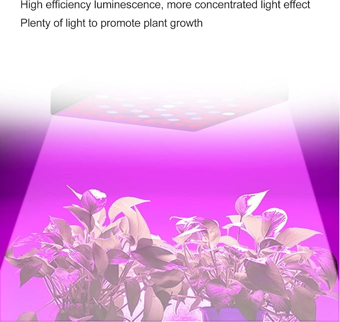 LED Grow Light Panel Full Spectrum High Efficiency Luminescent Plant Grow Light for Covered Grow Tent Greenhouse Vegetables and Blooming Seeds Hydroponics(USA 81 Beads)