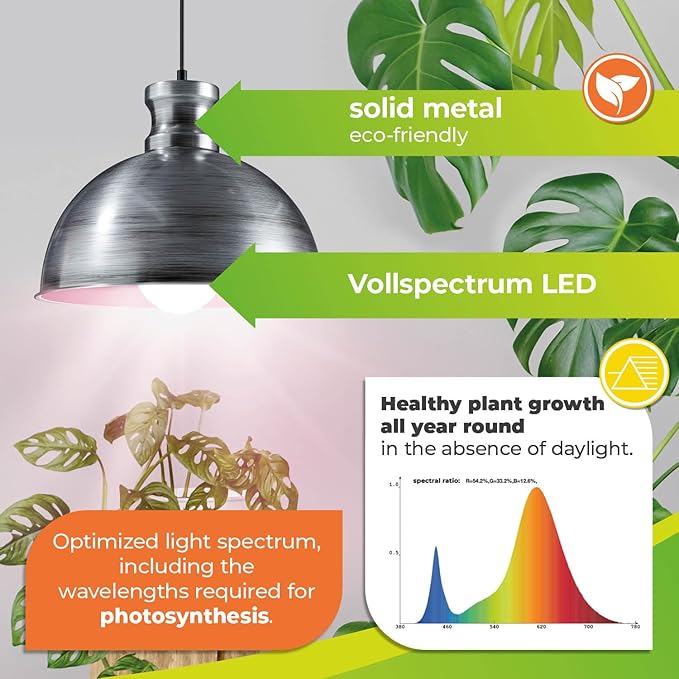 Bio Green 500-USZ Florabooster LUM 500 Grow Indoor 60w Lightbulb Lamp with 3m Connection Cable – Energy Saving House Plants – High Light Intensity Brushed zinc