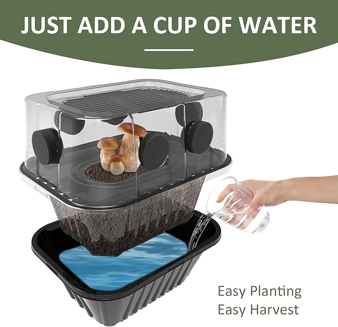 YANWEN Mushroom Growing Kit Monotub Stackable Grow Box Fruiting Chamber with FAE Filters Indoor Use 12.6 x 12.6 x 6.3 inches Clear and Black