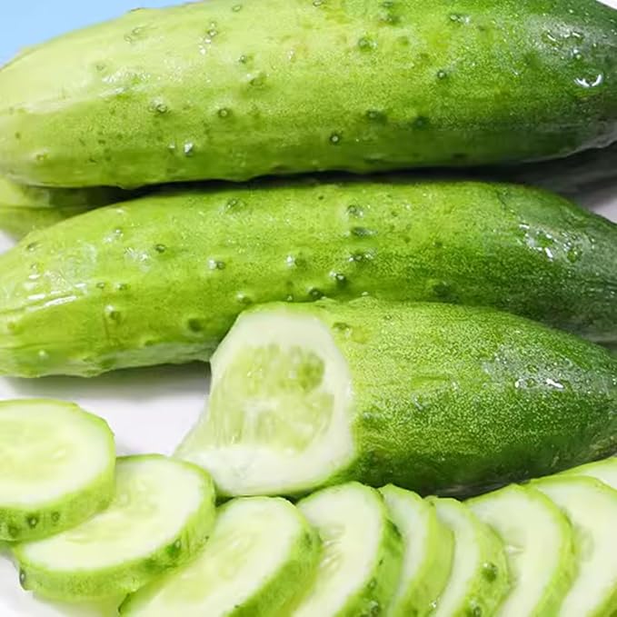 Marketmore Cucumber Plants Live 4 Inc Pot Cucumber Live Plants 4 Cucumber Vegetable Starter Plants