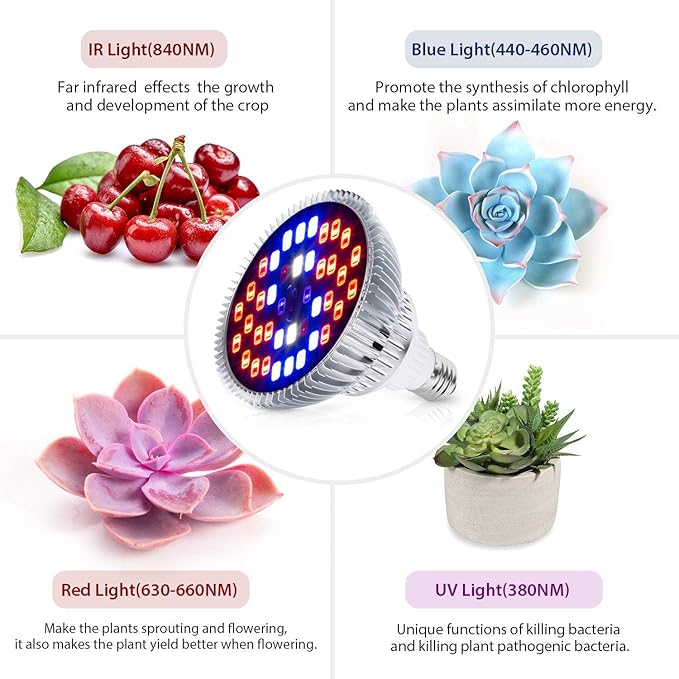 LED Plant Growth Light 50Wpar20 Full-Spectrum Fill Light