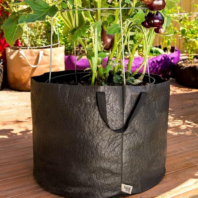 Park Seed Smart Pot Fabric Planter with Handles 25 Gallon Capacity Black