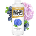Ferrous Sulfate for Plants – Liquid Iron Supplement for Greener Leaves Improved Chlorophyll Production &amp Reduced Yellowing 32 oz