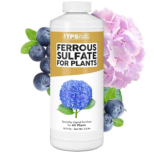 Ferrous Sulfate for Plants – Liquid Iron Supplement for Greener Leaves Improved Chlorophyll Production &amp Reduced Yellowing 32 oz